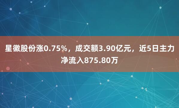 星徽股份涨0.75%,成交额3.90亿元,近5日主力净流入875.80万