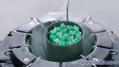 储存优质冻精