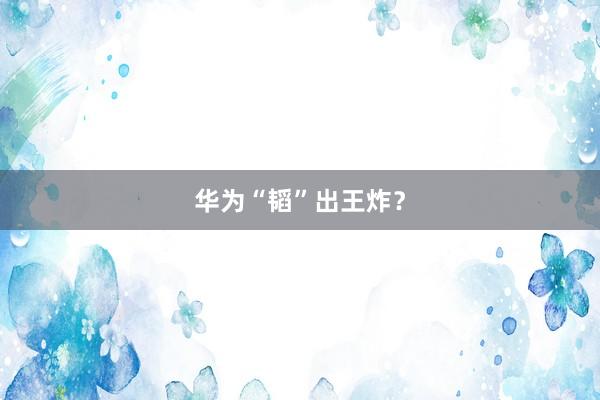 华为“韬”出王炸？