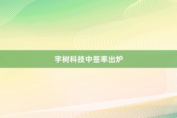 宇树科技中签率出炉