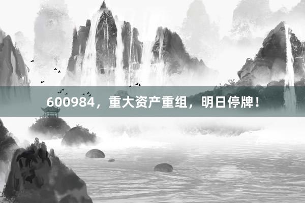 600984，重大资产重组，明日停牌！