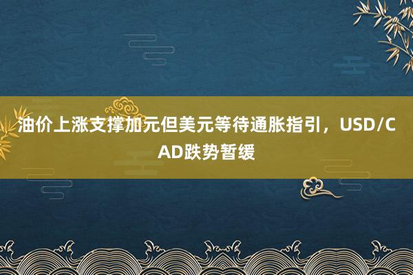 油价上涨支撑加元但美元等待通胀指引，USD/CAD跌势暂缓