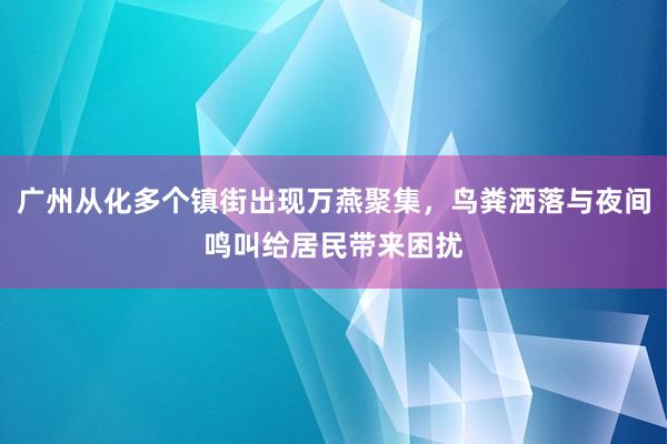 广州从化多个镇街出现万燕聚集，鸟粪洒落与夜间鸣叫给居民带来困扰