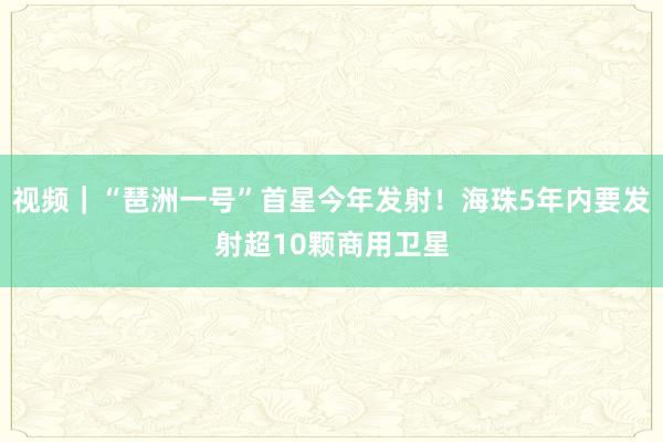 视频｜“琶洲一号”首星今年发射！海珠5年内要发射超10颗商用卫星