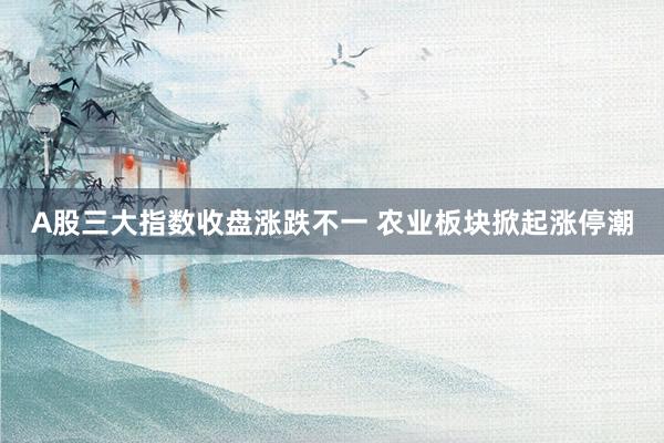 A股三大指数收盘涨跌不一 农业板块掀起涨停潮