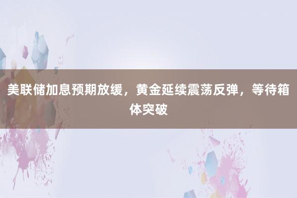 美联储加息预期放缓，黄金延续震荡反弹，等待箱体突破