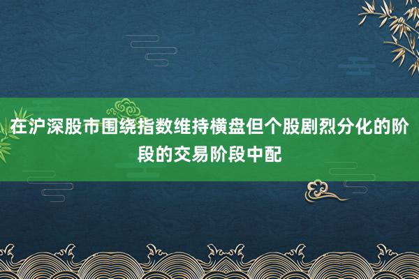 在沪深股市围绕指数维持横盘但个股剧烈分化的阶段的交易阶段中配