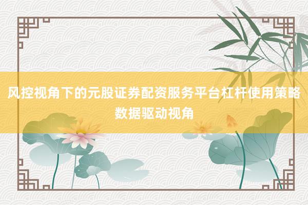 风控视角下的元股证券配资服务平台杠杆使用策略数据驱动视角