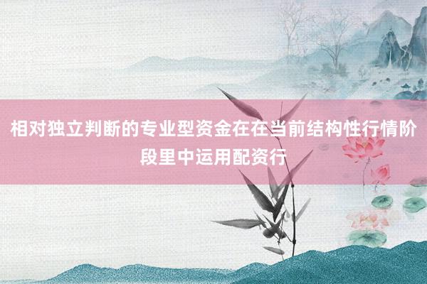 相对独立判断的专业型资金在在当前结构性行情阶段里中运用配资行