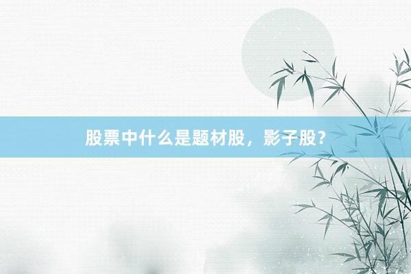 股票中什么是题材股，影子股？