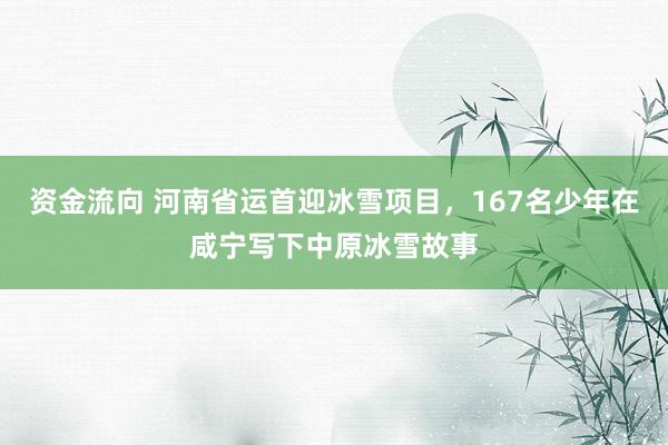 资金流向 河南省运首迎冰雪项目，167名少年在咸宁写下中原冰雪故事