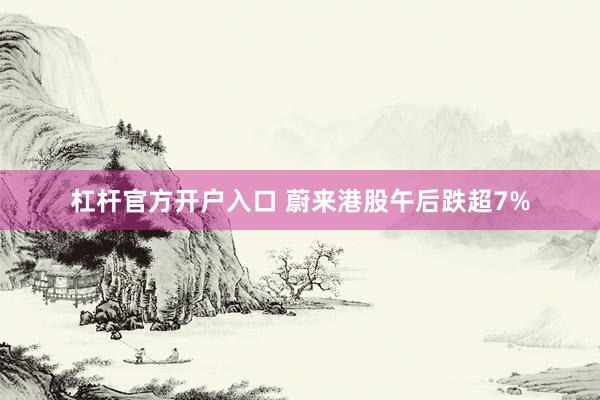 杠杆官方开户入口 蔚来港股午后跌超7%