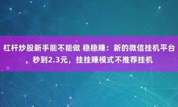 杠杆炒股新手能不能做 稳稳赚：新的微信挂机平台，秒到2.3元，挂挂赚模式不推荐挂机