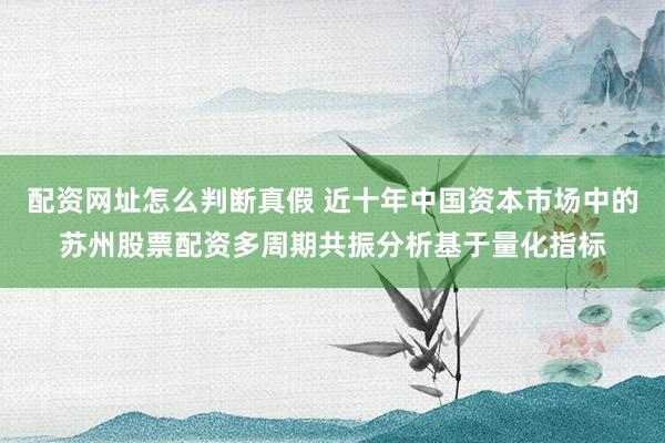 配资网址怎么判断真假 近十年中国资本市场中的苏州股票配资多周期共振分析基于量化指标