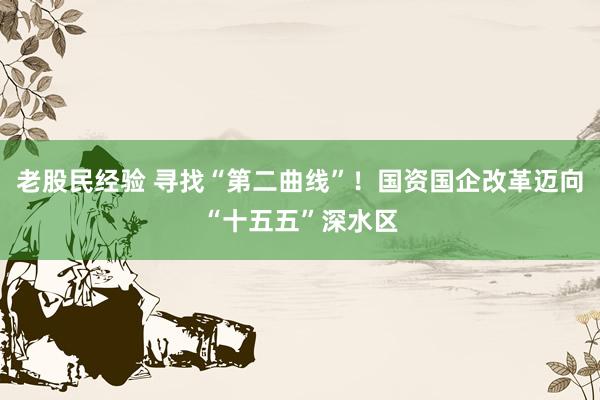老股民经验 寻找“第二曲线”！国资国企改革迈向“十五五”深水区