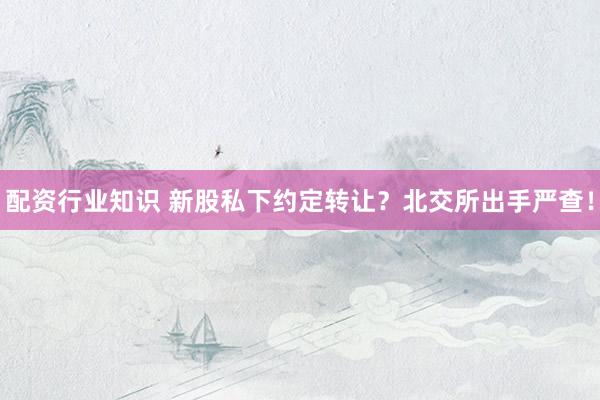 配资行业知识 新股私下约定转让？北交所出手严查！