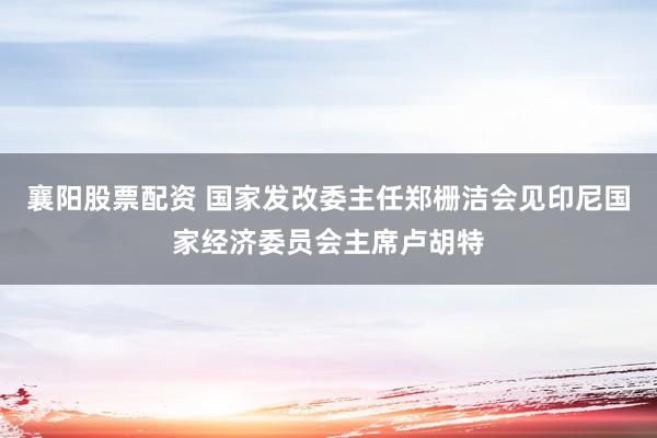 襄阳股票配资 国家发改委主任郑栅洁会见印尼国家经济委员会主席卢胡特