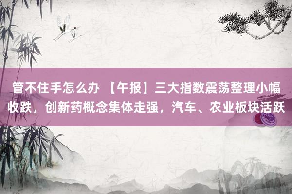 管不住手怎么办 【午报】三大指数震荡整理小幅收跌，创新药概念集体走强，汽车、农业板块活跃