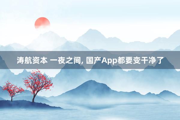 涛航资本 一夜之间, 国产App都要变干净了