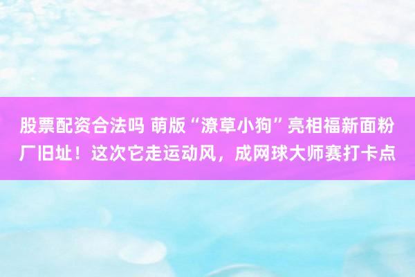 股票配资合法吗 萌版“潦草小狗”亮相福新面粉厂旧址！这次它走运动风，成网球大师赛打卡点