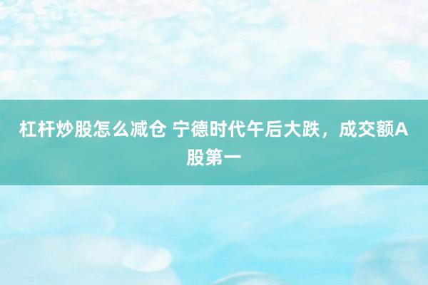 杠杆炒股怎么减仓 宁德时代午后大跌，成交额A股第一