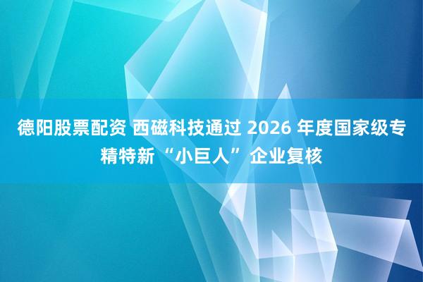 德阳股票配资 西磁科技通过 2026 年度国家级专精特新 “小巨人” 企业复核